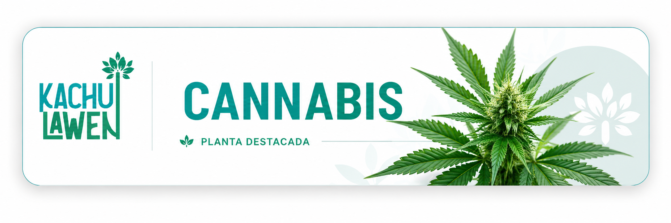 cannabis