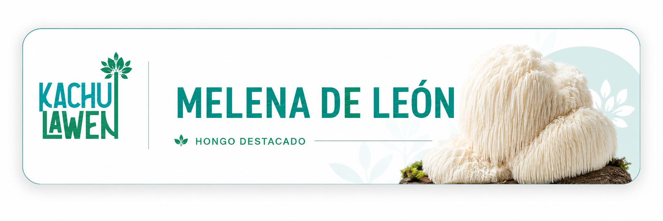 melena de leon
