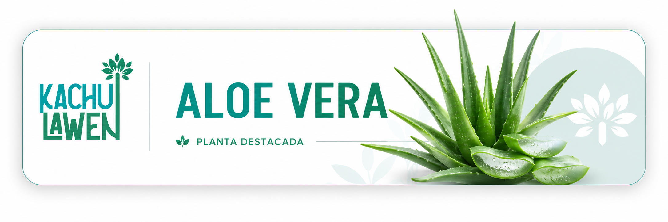 aloe